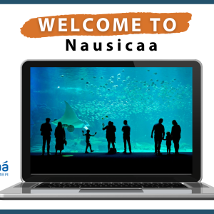 Gérer l'Affluence avec Précision : Le Système de Comptage à l'Aquarium Nausicaá